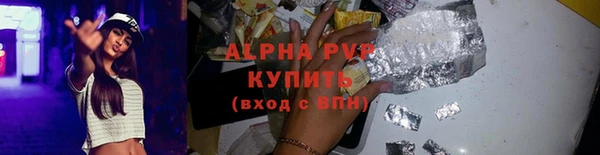 прущие грибы Заводоуковск