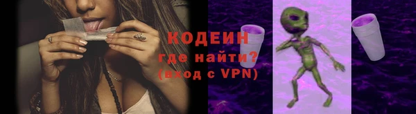 прущие грибы Заводоуковск