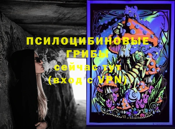 прущие грибы Заводоуковск