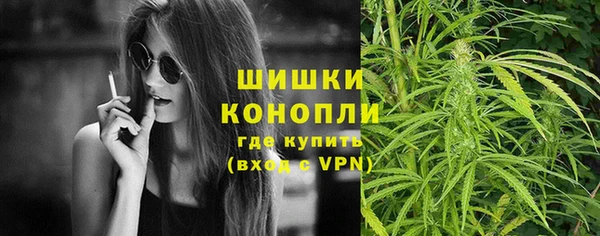 прущие грибы Заводоуковск
