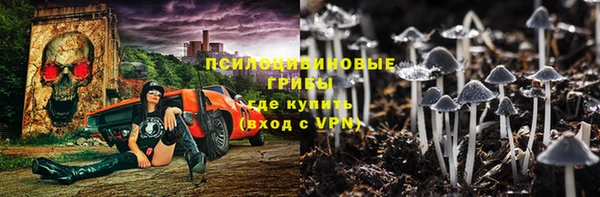 прущие грибы Заводоуковск
