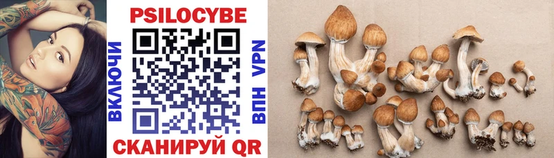 Псилоцибиновые грибы Cubensis  Купить закладки  Звенигово 